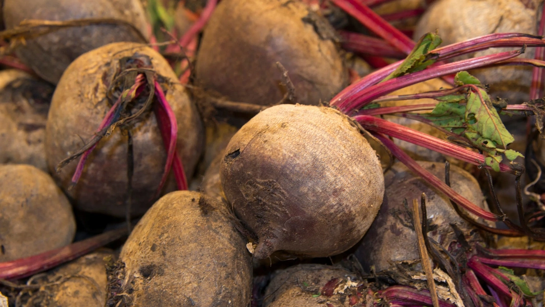 Experts highlight beetroot's role in supporting circulation