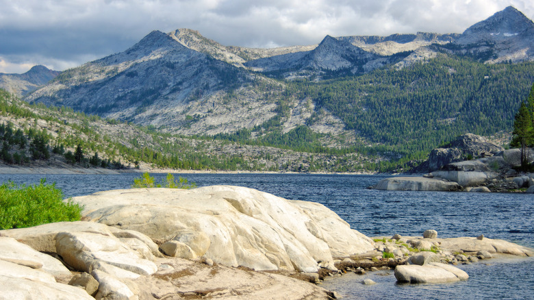 Goodbye Big Bear Lake, so long Lake Tahoe: This crystal-clear fishing ...