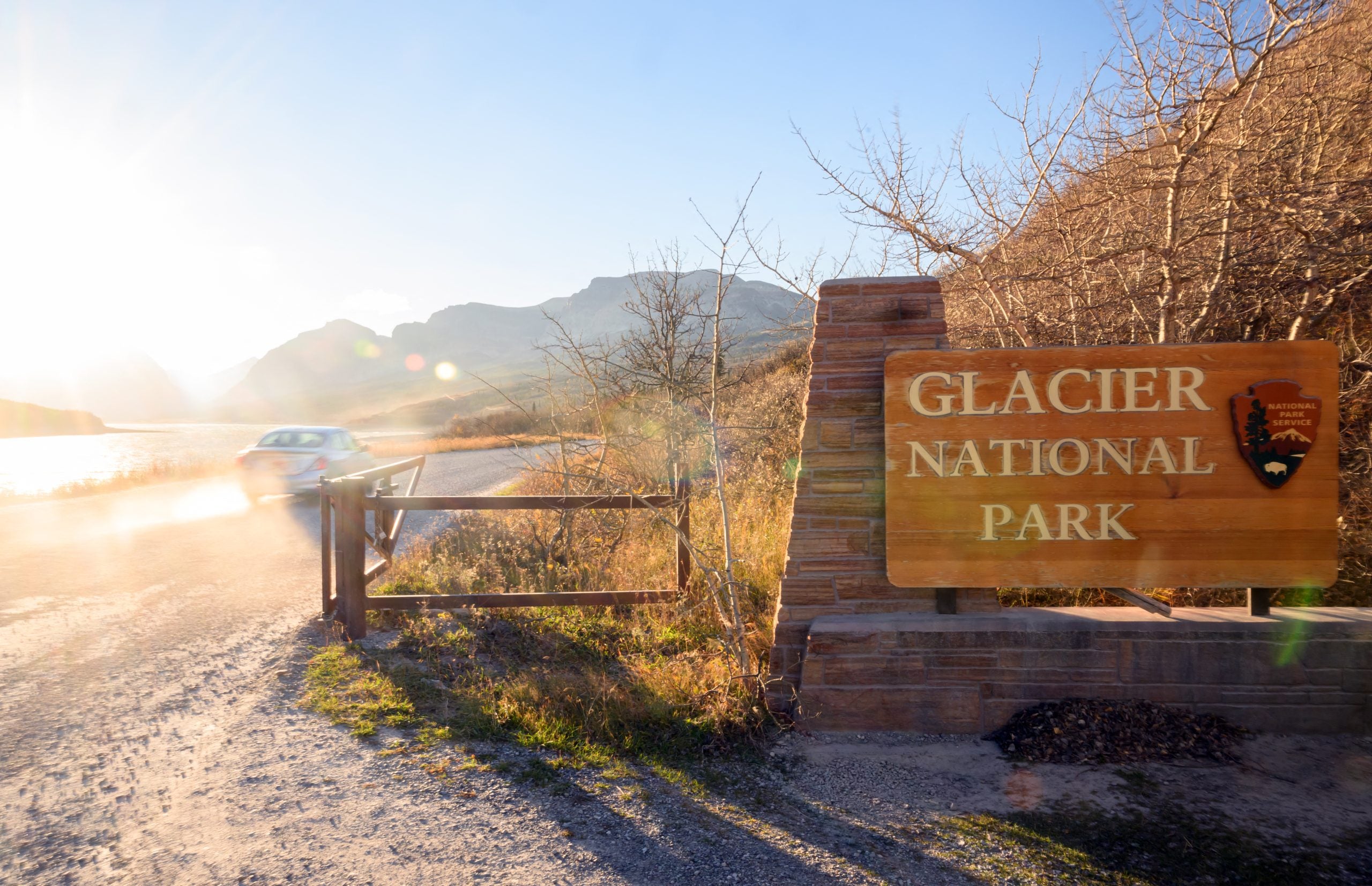 Glacier National Park reports first case ever of deadly bat fungal disease