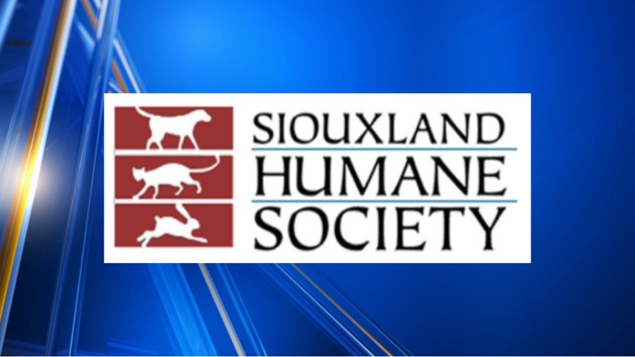 Siouxland Humane Society hosting a pet inspired painting event