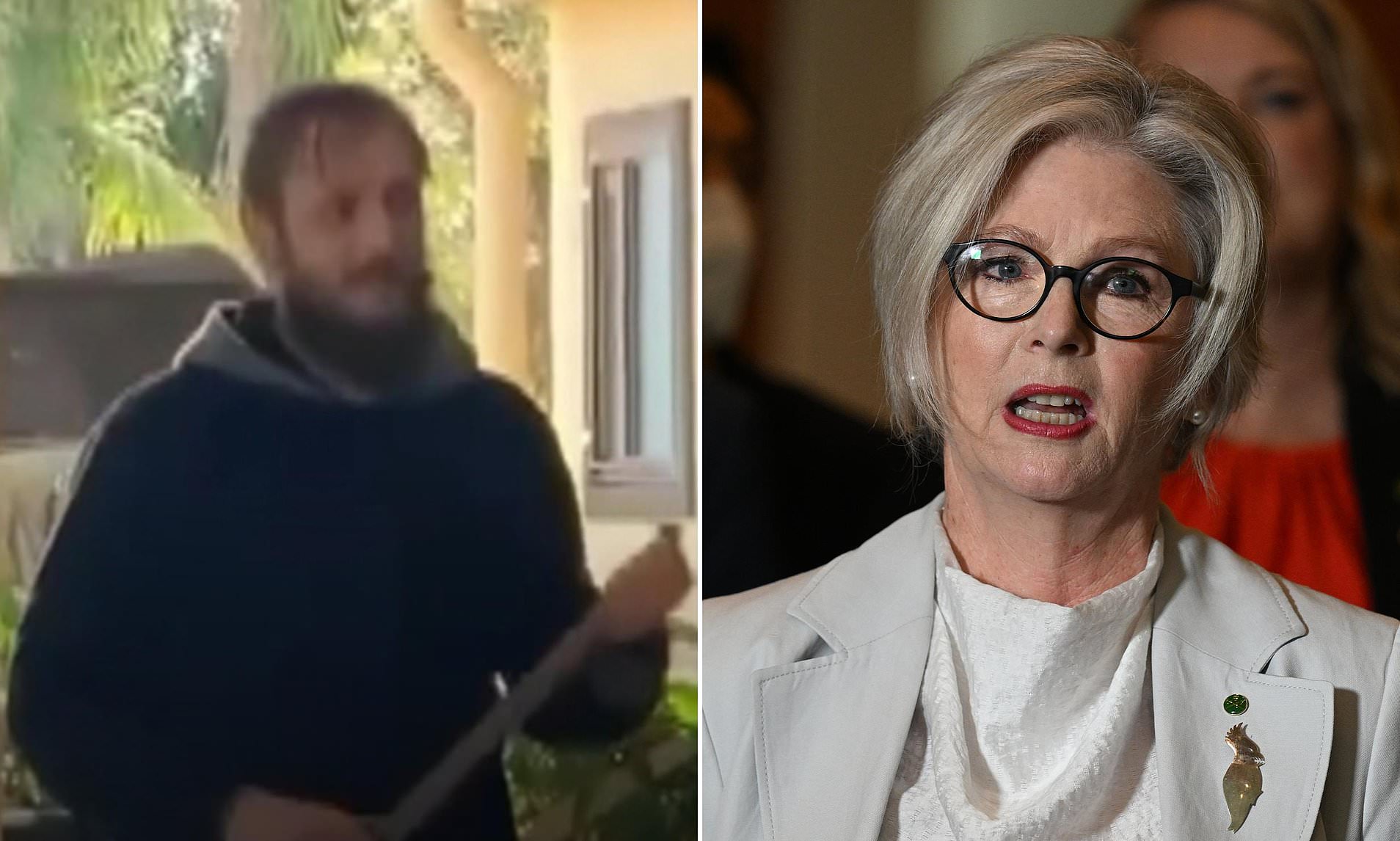 Alleged MP attacker told police 'you're going to have to shoot me' in ...