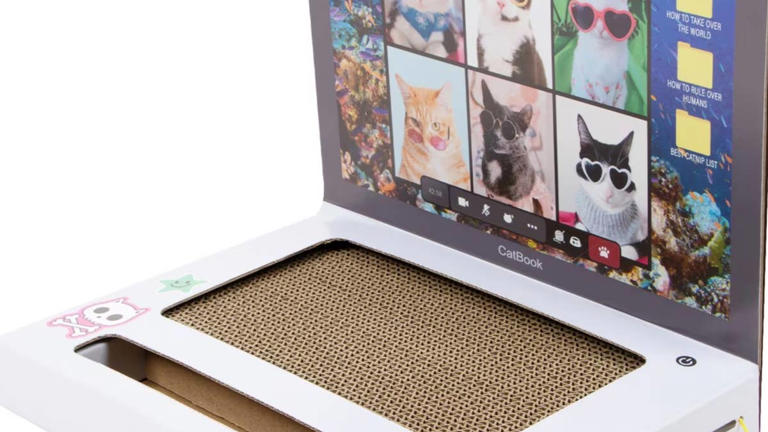 Chewy's laptop cat scratcher gives your distracting kitty coworker ...
