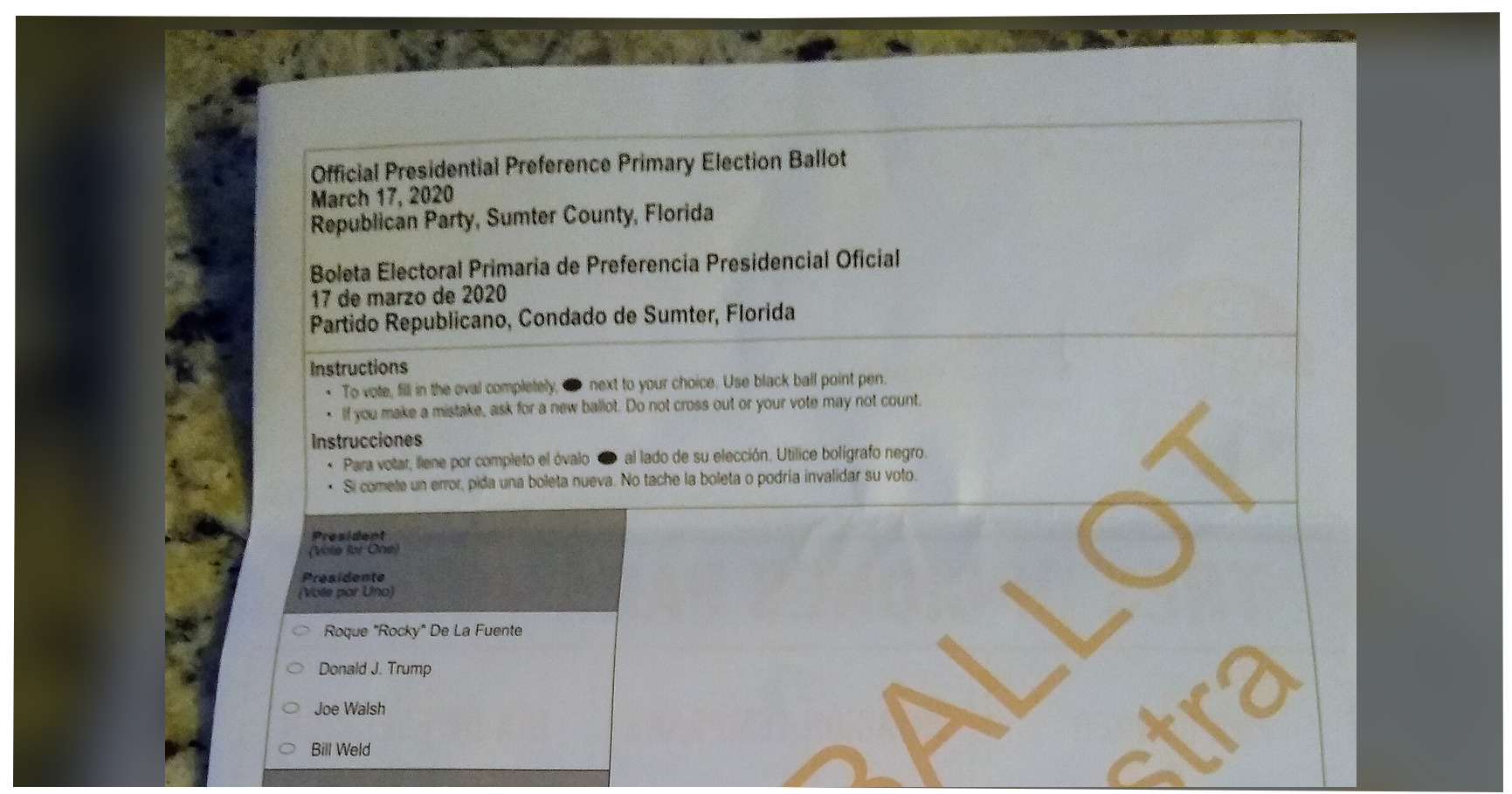 If you love the Republican Party, vote Democrat this November