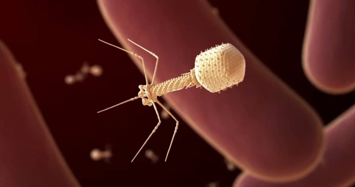 Paciente crítico recibió virus creado por IA para acabar con las ...