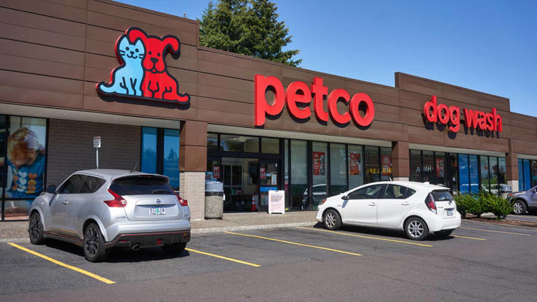 Keep your dog busy all winter with Petco's $80 indoor ball pit