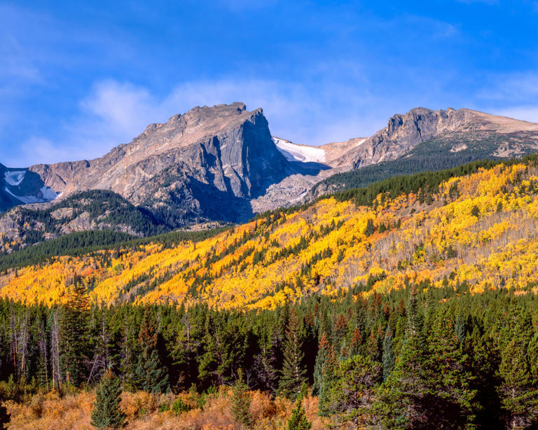 In 1969, a 19-year-old Mo Siegel started picking wild Colorado herbs ...
