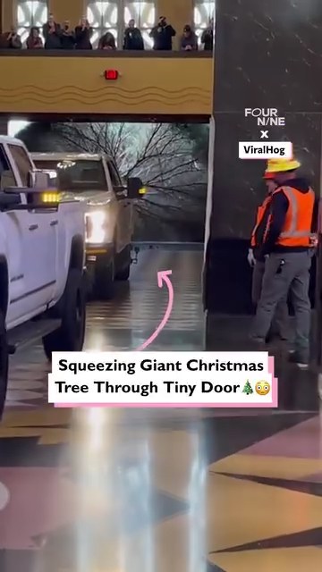 How are they gonna get that through