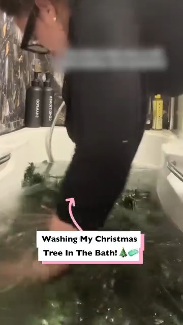 Washing my Christmas tree in the bath