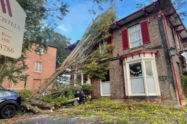Tree falls on car at York hostel as Storm Boelo hits with 55mph gusts