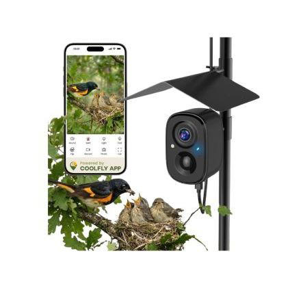 Wildlife cameras reveal the backyard visitors you don't even know are ...