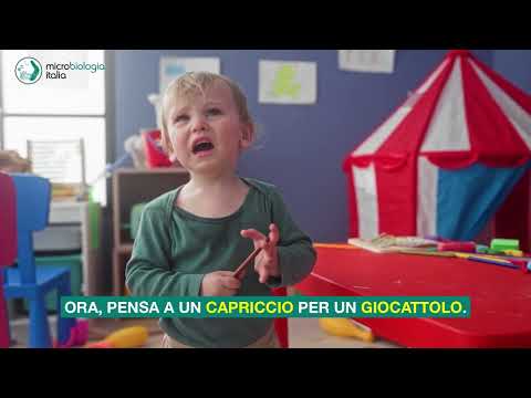 Capricci o bisogni: come interpretarli