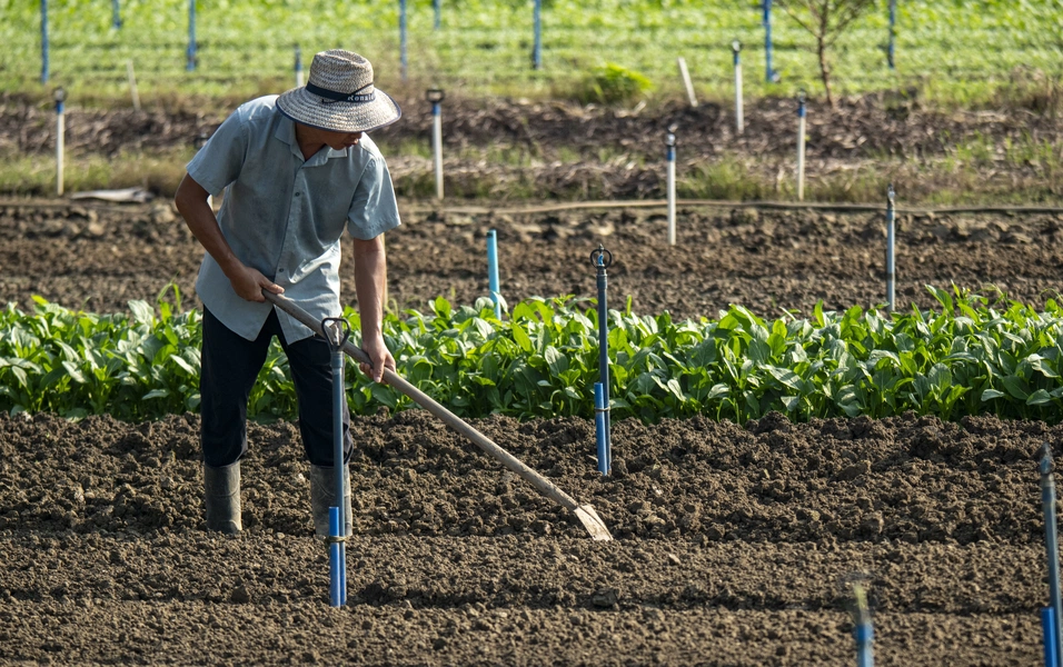 Fall prep tips for a thriving spring garden