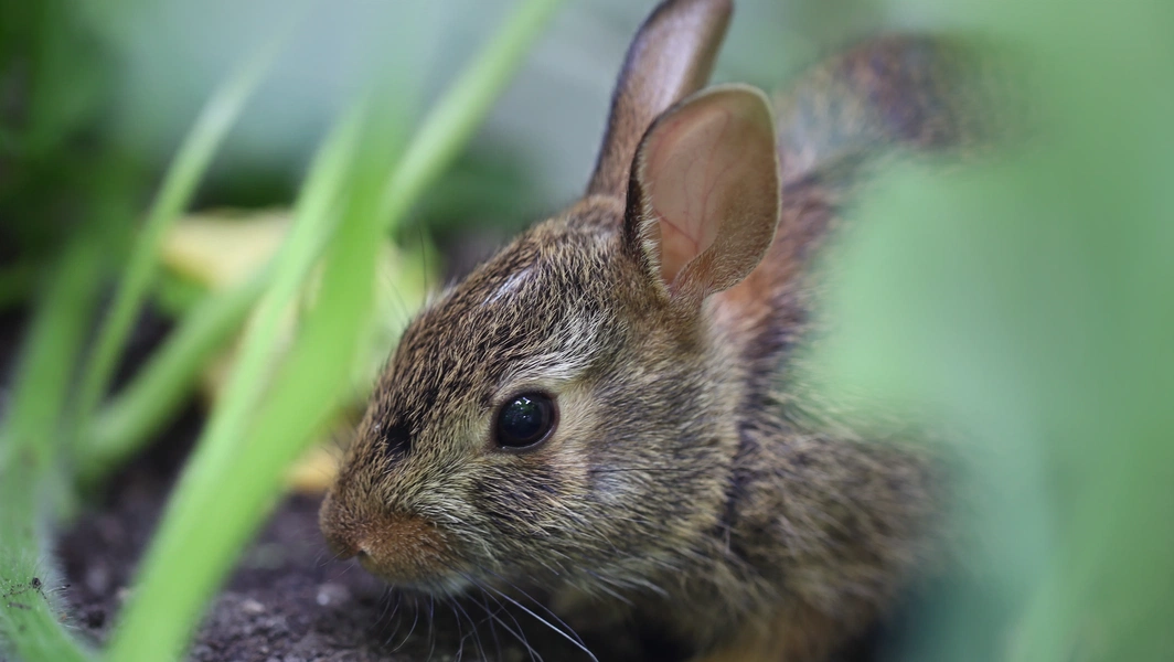Small wonders that shape our world