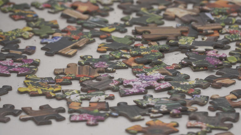 Wisconsin State jigsaw puzzle championships draw hundreds to Rothschild