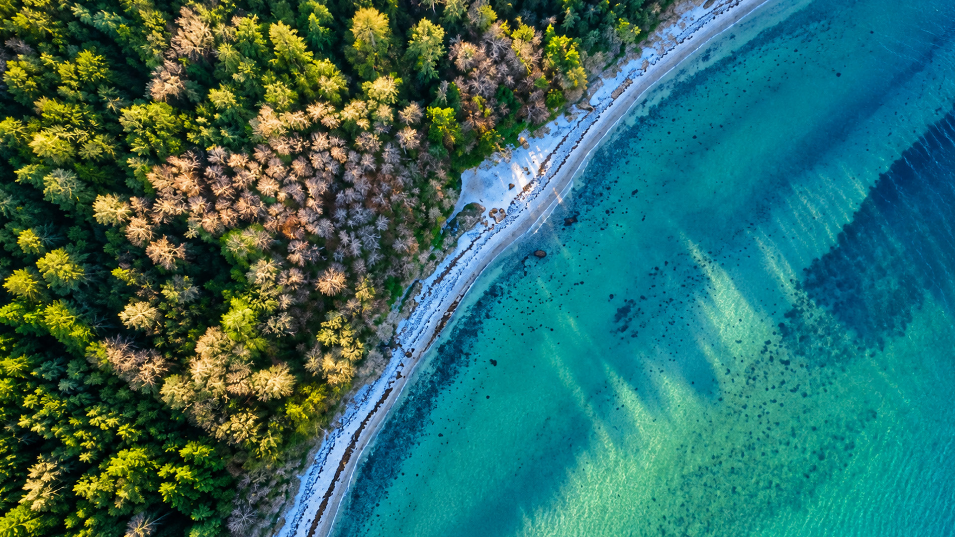 Denmark's forested shores hide remarkably clear blue waters