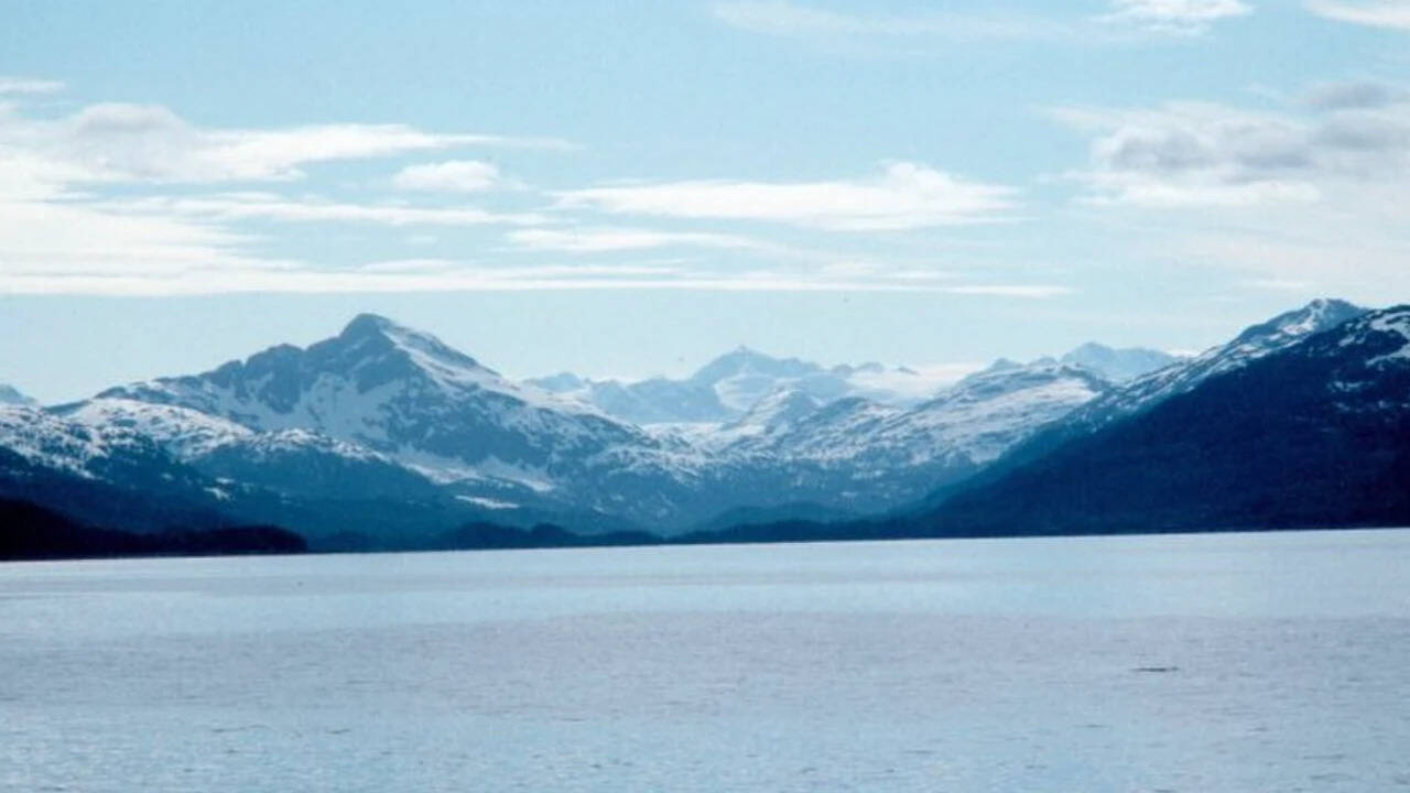 Exxon spill’s orca toll: AT1 killer whale group collapses; recovery now ...
