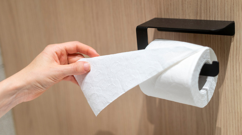 No more basic toilet paper holders: A fun and unique alternative you ...