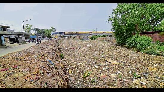 Seechewal: 75-tonne cow dung flowing into Buddha Nullah daily