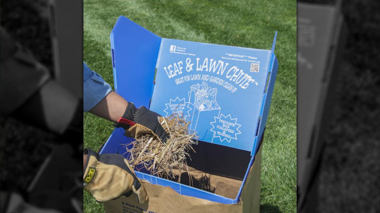 Save time bagging leaves: The easy leaf collector find from Lowe's that ...