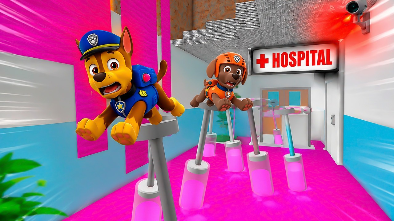 Chase de Paw Patrol y Zuma escapan del hospital en Minecraft 😱