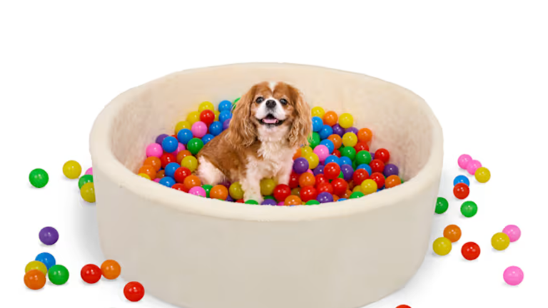 Keep your dog busy all winter with Petco's $80 indoor ball pit