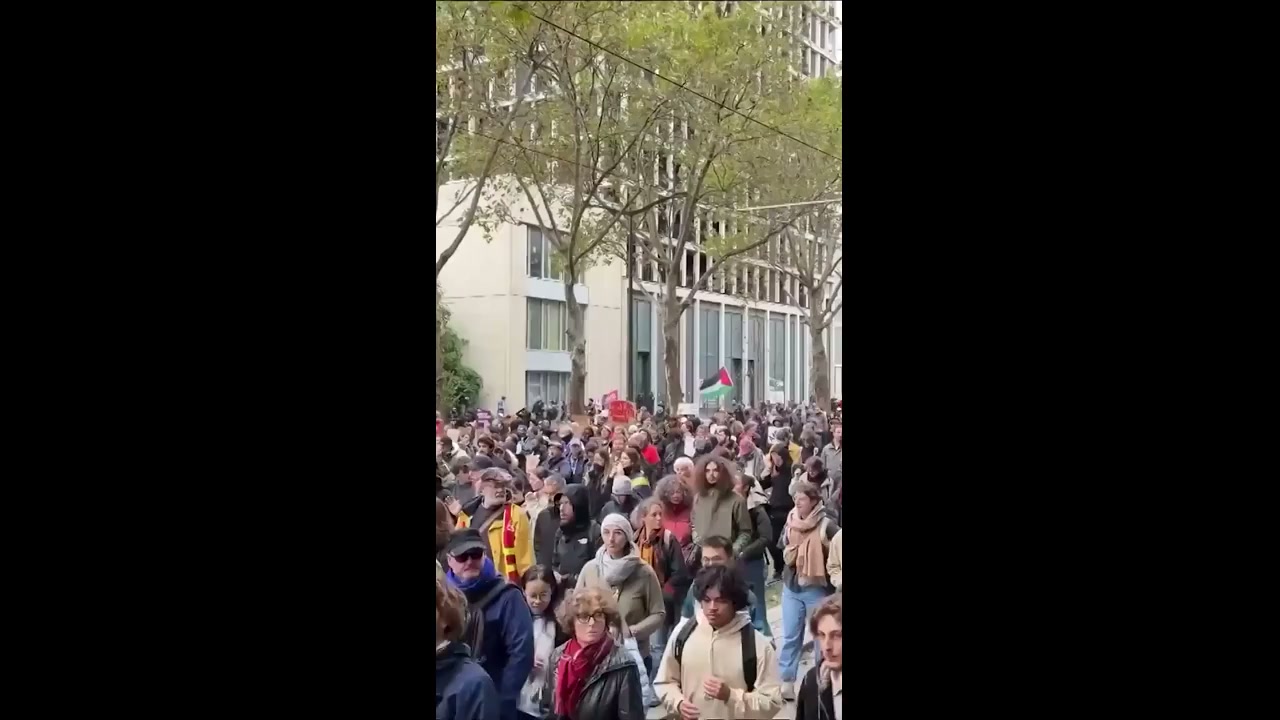 Sea of over 110,000 protesters pack Paris streets