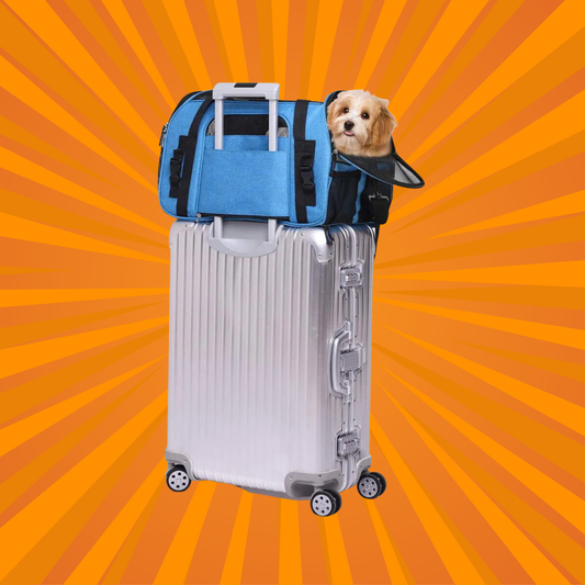 I don't travel without my rescue pup, so I combed the internet for ...