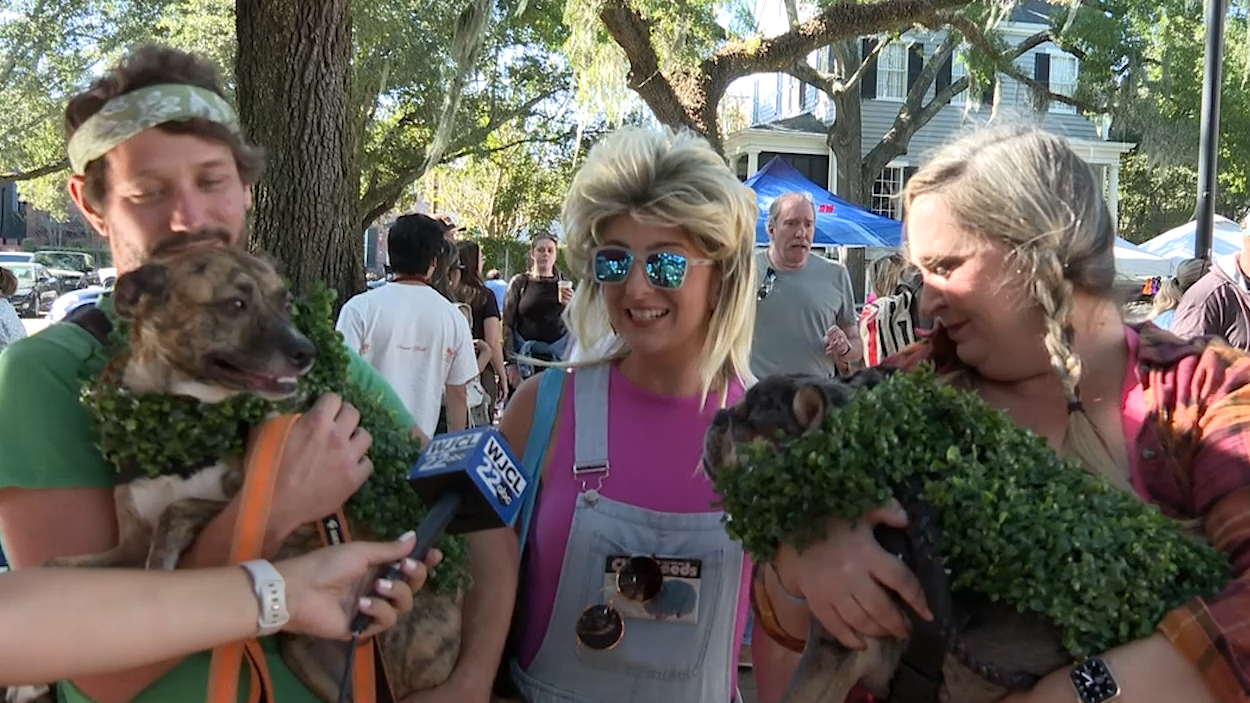 Video from Pulaski Square shows dogs in costume at Wag-O-Ween