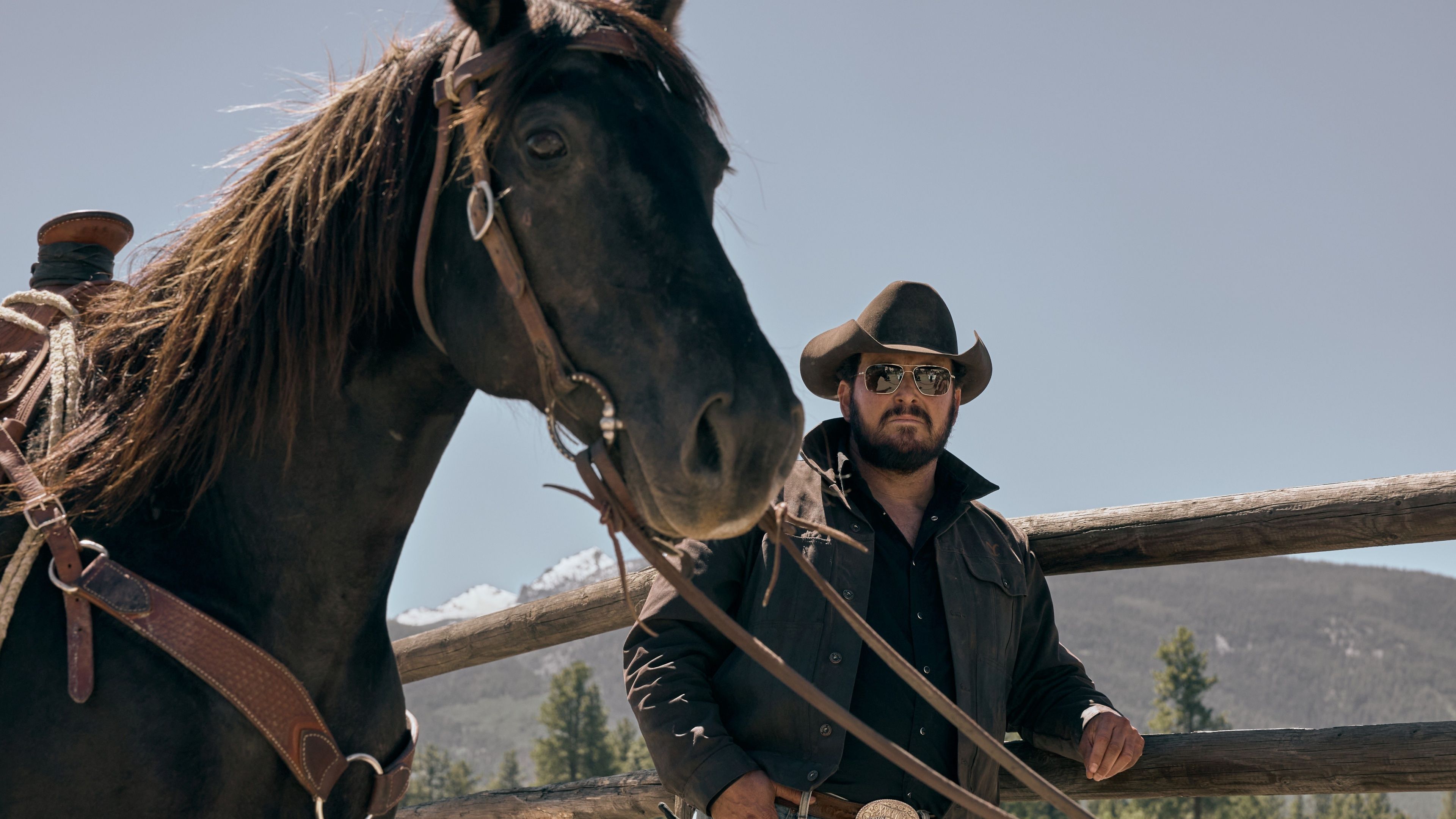 Forget Yellowstone, HBO's 36-episode masterpiece is the show that saved ...