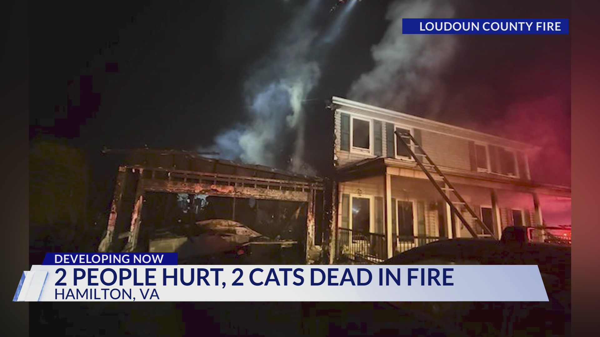 2 cats killed, firefighter hurt in Hamilton house fire