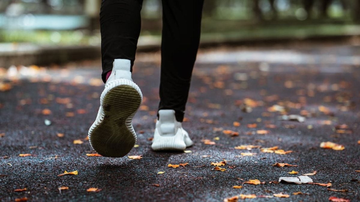 Pilihan olahraga terbaik untuk menurunkan berat badan beserta contoh ...