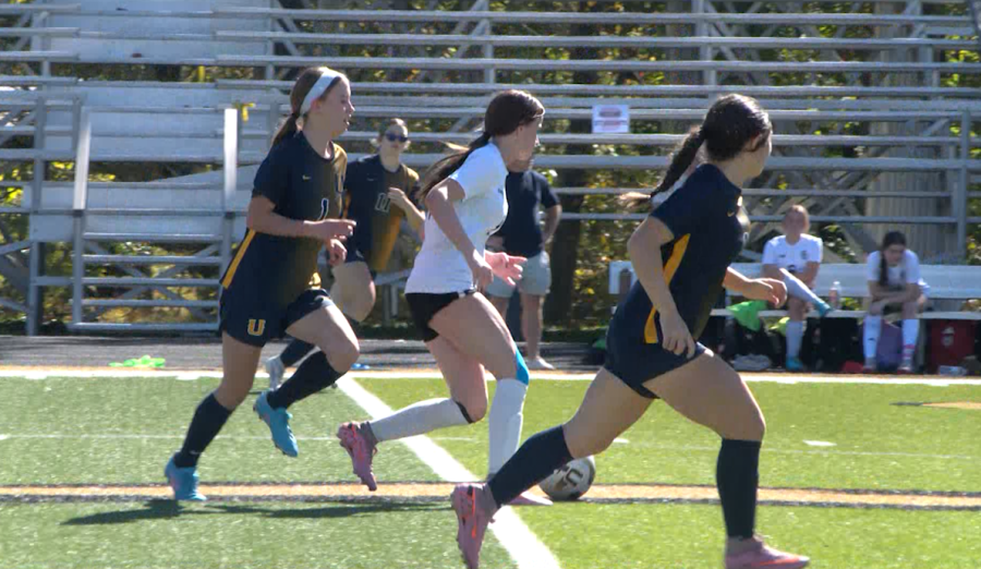 Greeneville and University High advance to state, Science Hill and ...