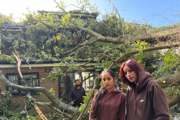 Family’s terror as dream home wrecked after huge tree crashes through roof