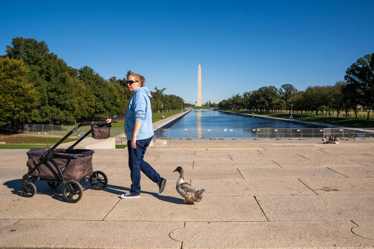 Meet Olivia, the duck quacking to keep foie gras off DC menus