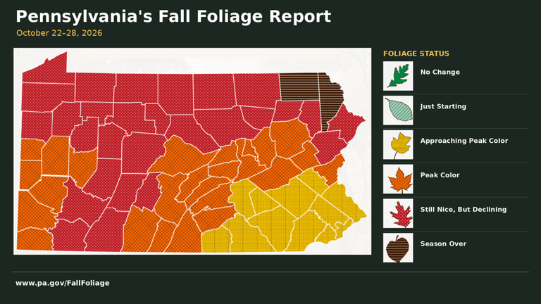 Fall foliage peaks across parts of Pennsylvania; some NEPA color is fading