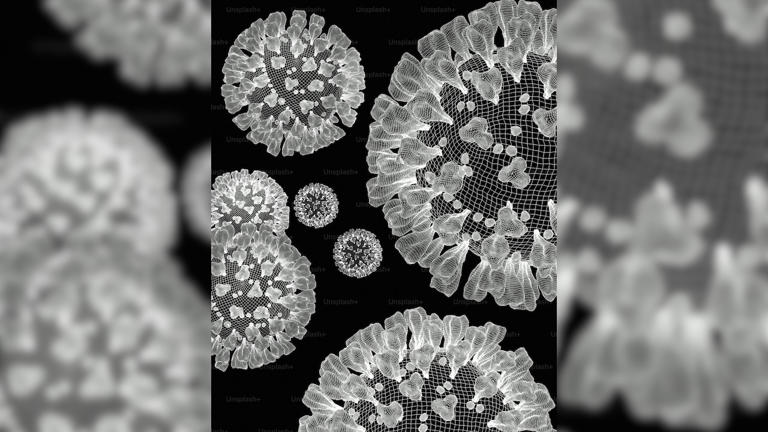 France reports first ever human case of Shamonda virus: Public risk ...