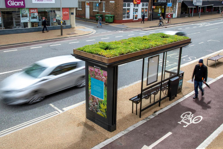 Plans for new bee bus stops could be rolled out across Peterborough