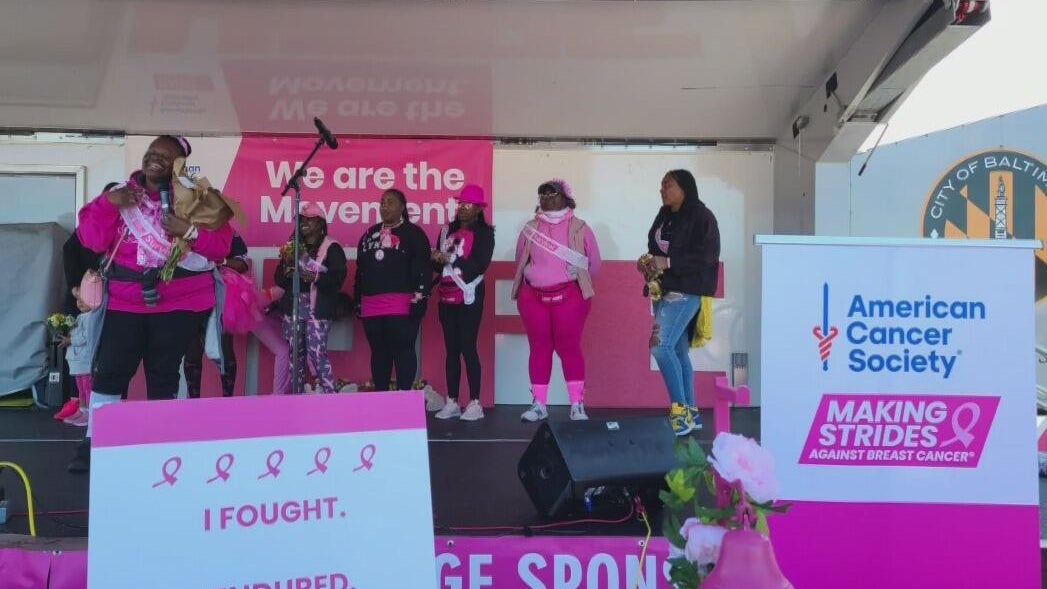 Thousands participate in the 25th annual Making Strides Against Breast ...