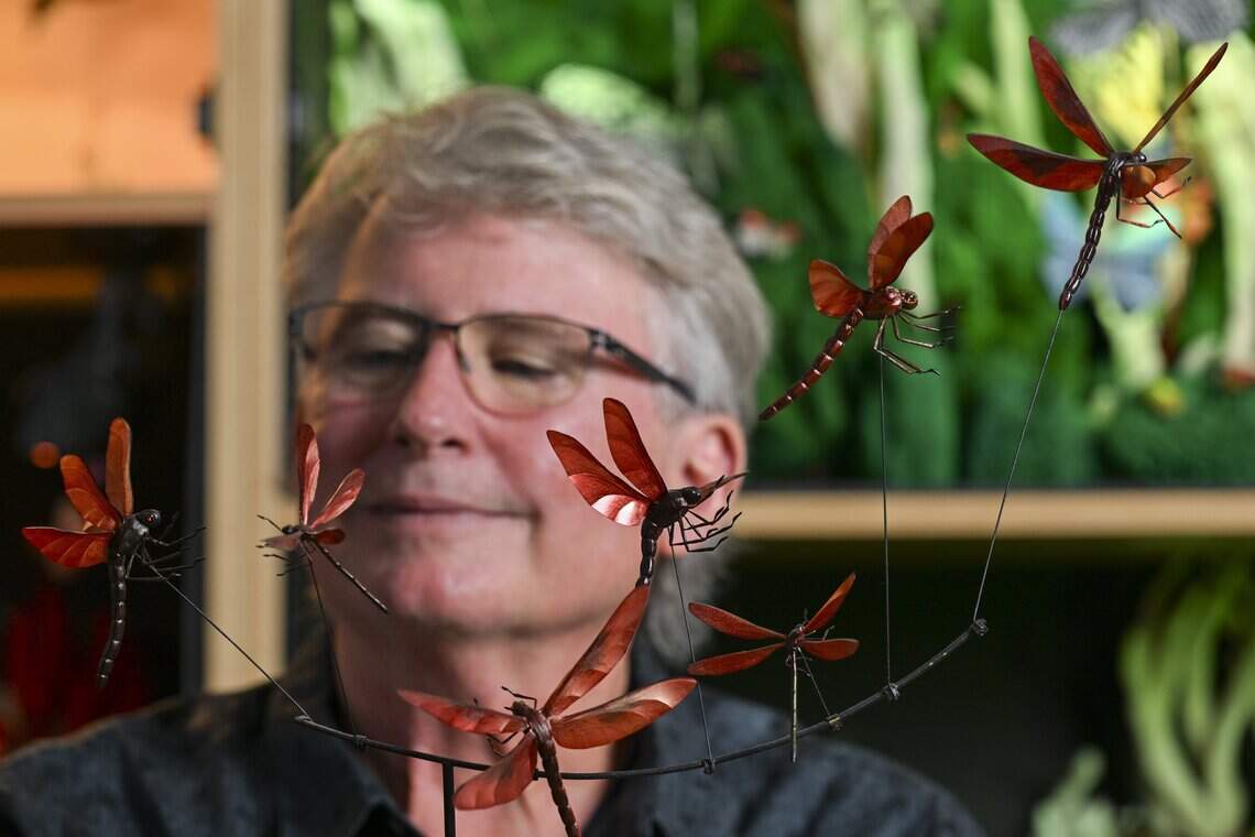 Pierce County artist's bugs star in Hollywood films, shows like ...
