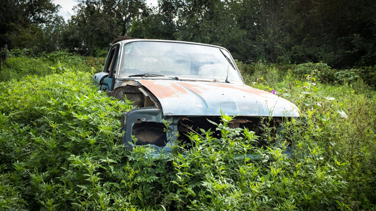 What happens to abandoned vehicles?