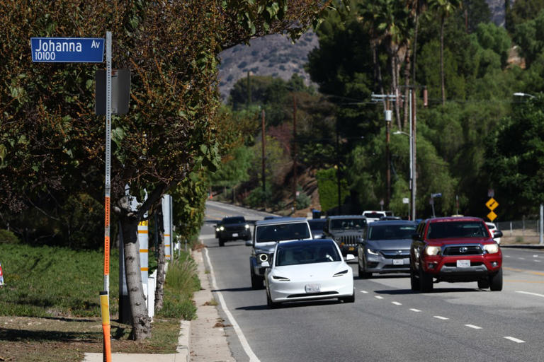 California horse town brings in maverick solution to extremely ...