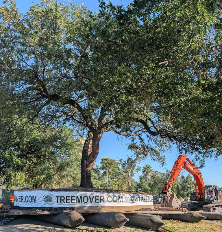Rice is breaking ground on a massive new tower but saving the trees first