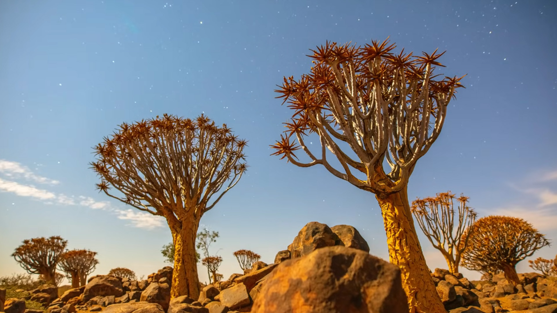 Ten reasons to explore more of Namibia