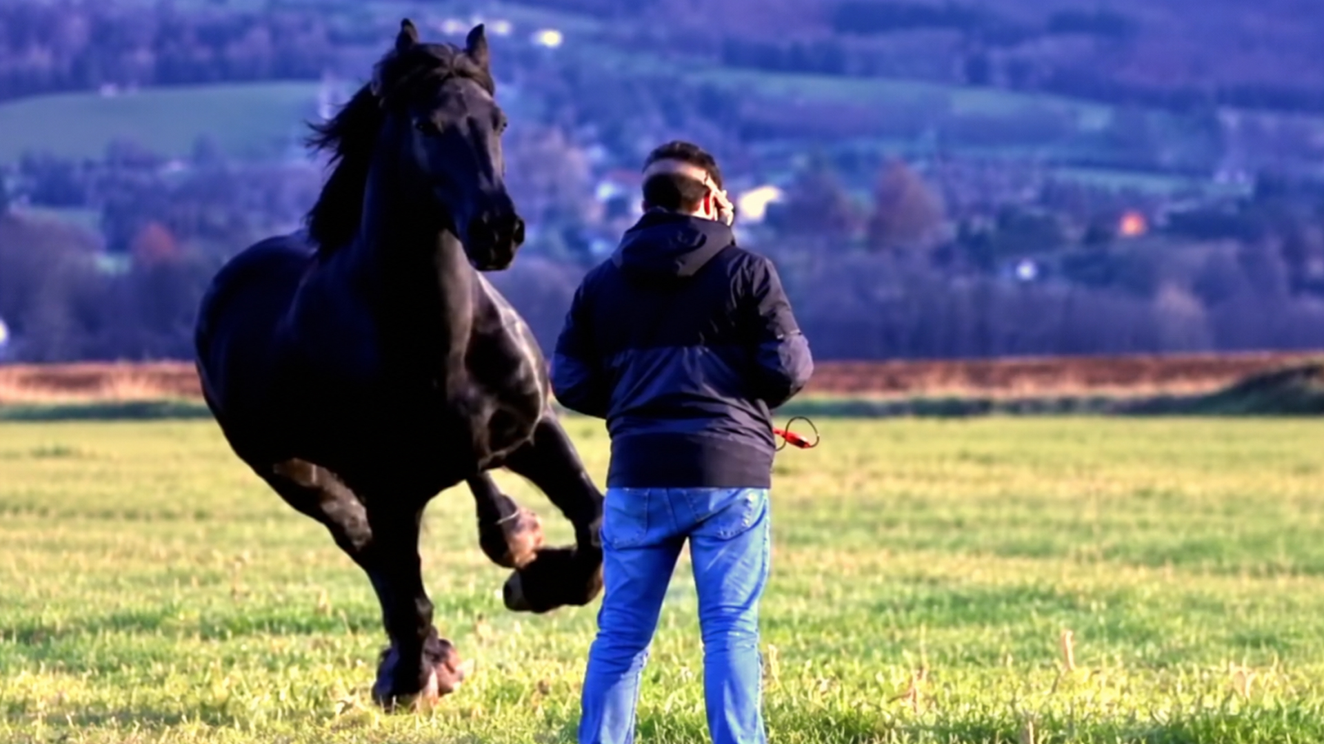 Man in VR headset gets blindsided by a real-life stallion
