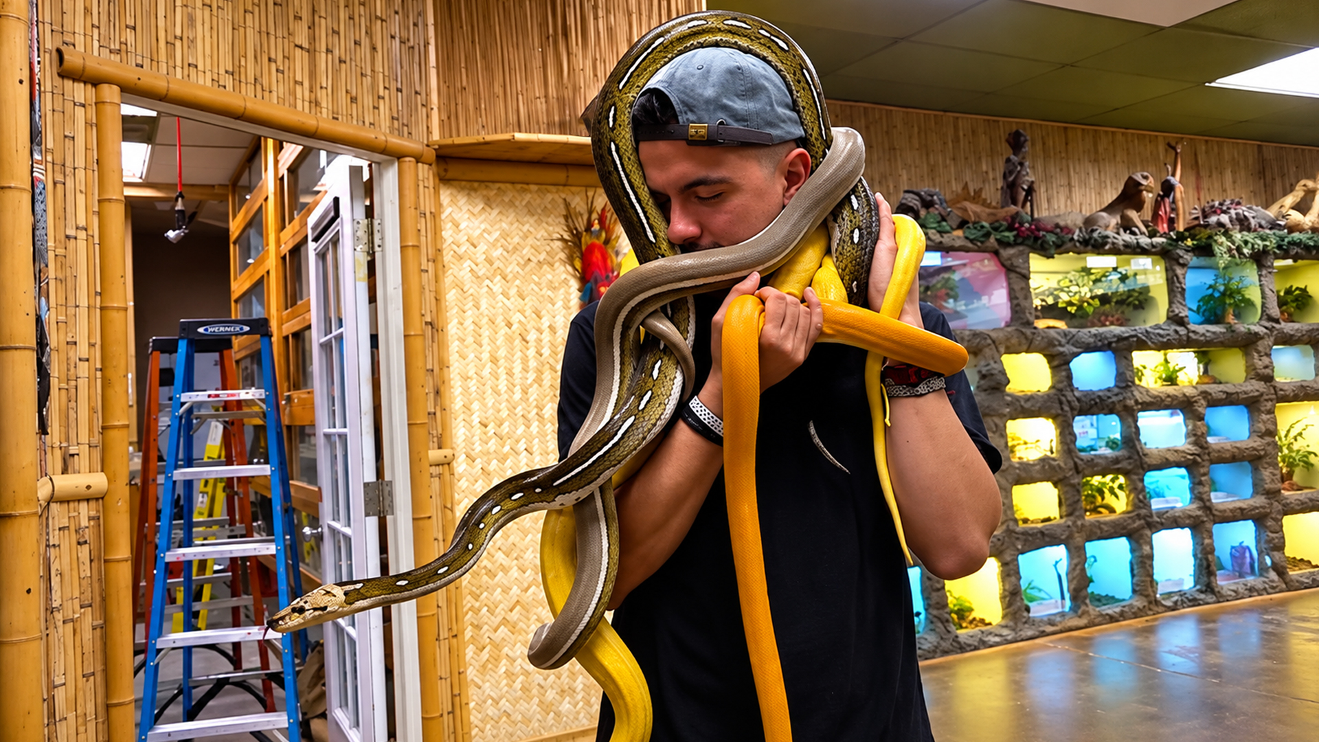 Handling a snake pile is not easy