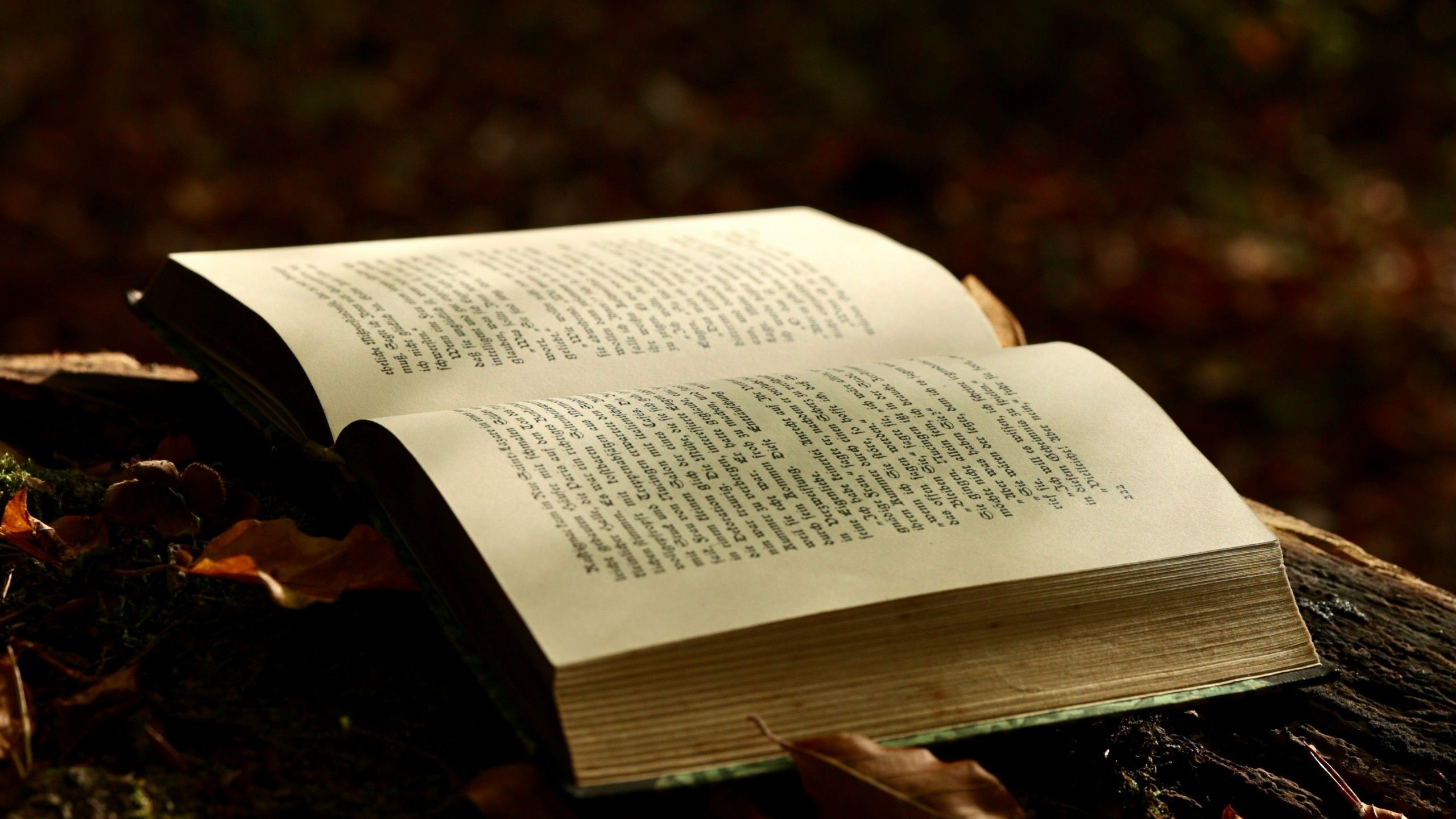 10 fantasy books recommended by Ursula K Le Guin