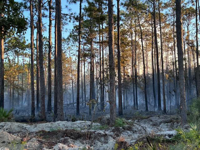 Outside fire in Santa Rosa Beach 90% contained, no injuries reported