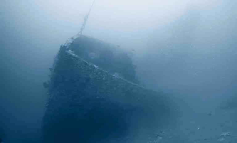 A 13-day underwater expedition revealed 22 ancient shipwrecks hidden ...