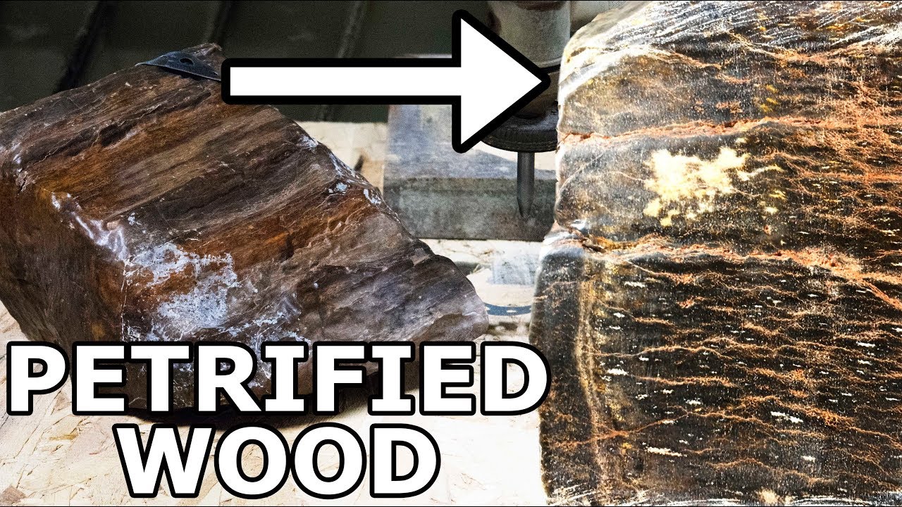 Petrified wood cut in half with a 60,000 PSI waterjet