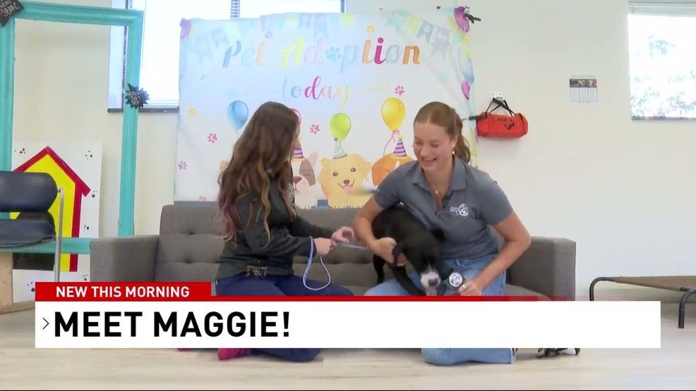 Meet sweet Maggie!